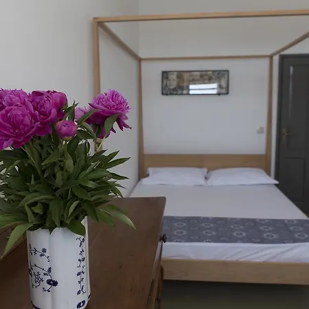 Amarcord Skola * Veli Rat