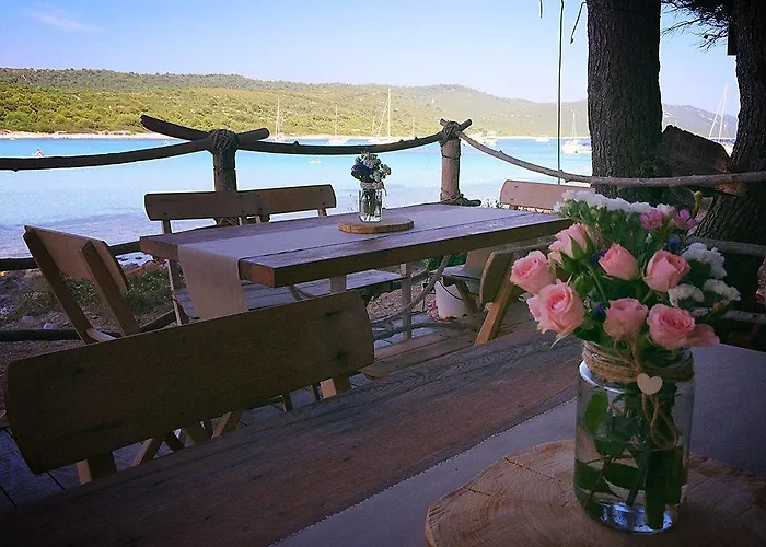 Amarcord Skola * 벨리 라트