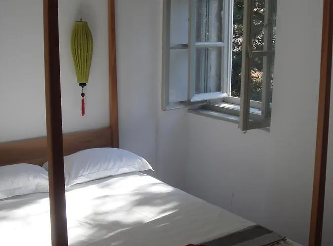 Amarcord Skola * 벨리 라트