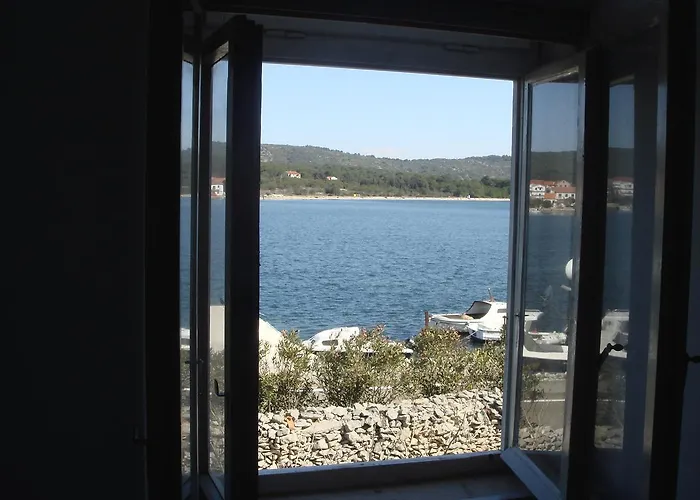 Amarcord Skola * 벨리 라트