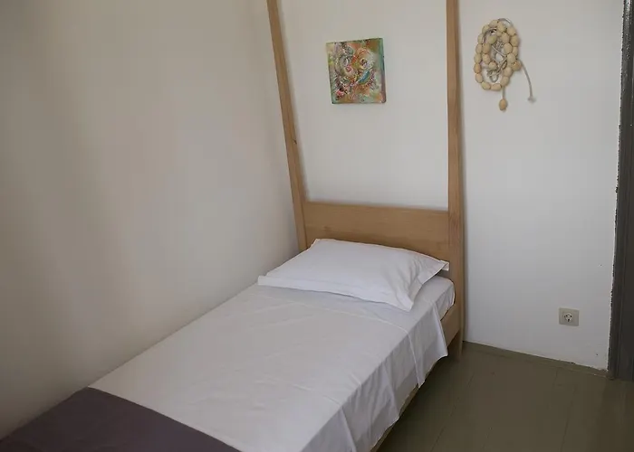 Amarcord Skola * 벨리 라트