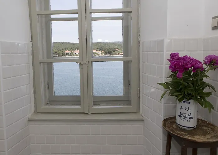 Amarcord Skola * 벨리 라트