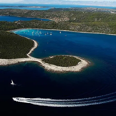 Amarcord Skola * Veli Rat