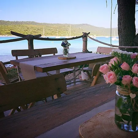 Amarcord Skola * Veli Rat