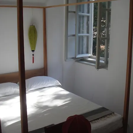 Amarcord Skola * Veli Rat