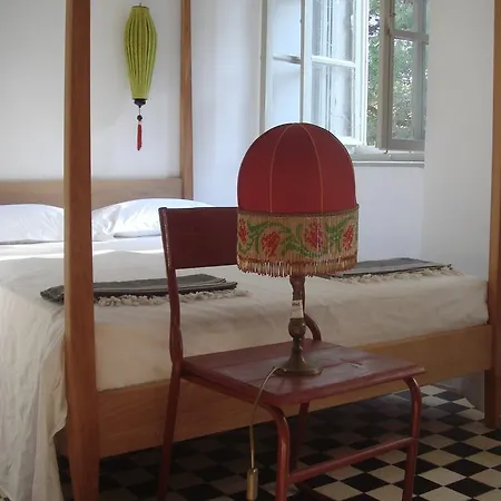 Amarcord Skola * Veli Rat