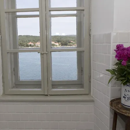 Amarcord Skola * Veli Rat