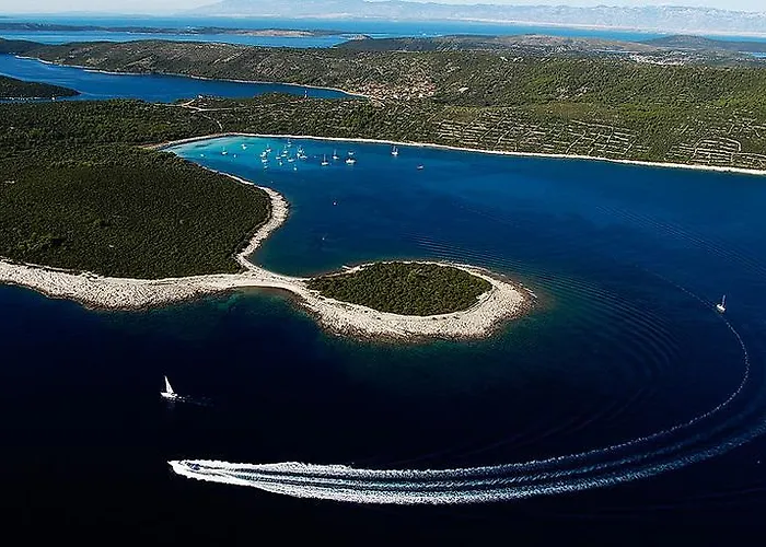 Amarcord Skola * Veli Rat