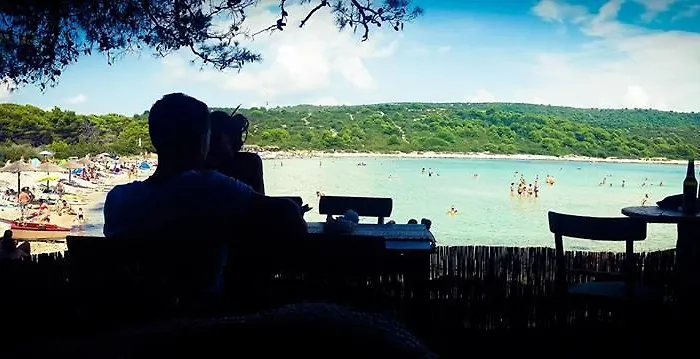 Oda ve Kahvaltı Amarcord Skola *