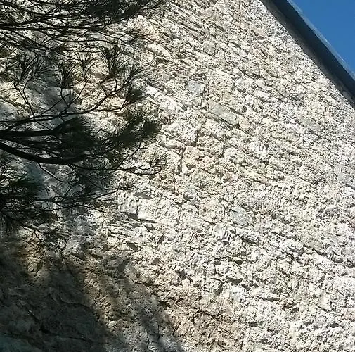 Amarcord Skola * Veli Rat