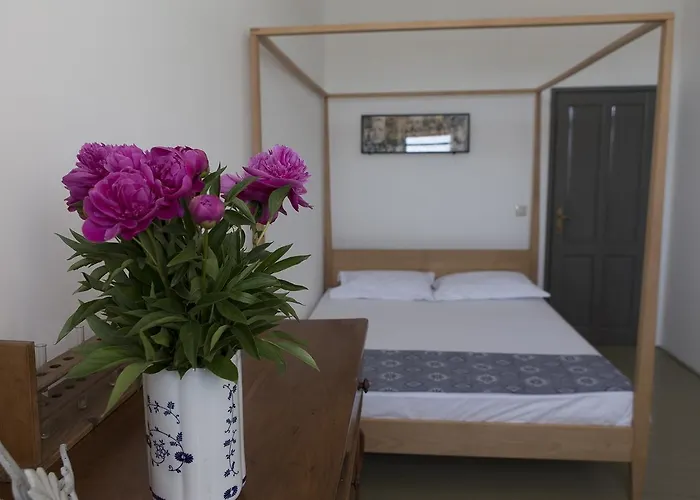 Amarcord Skola * Veli Rat