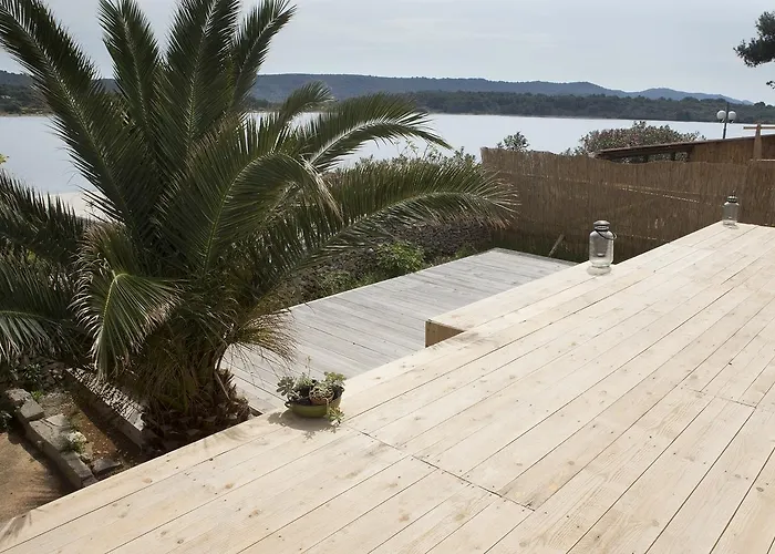 Amarcord Skola * Veli Rat